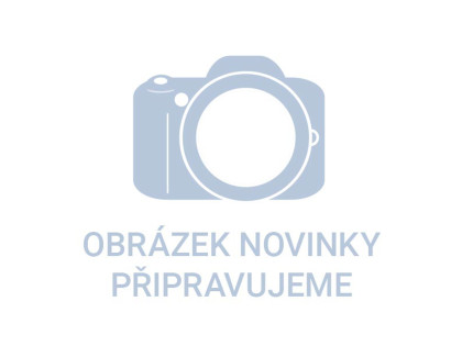 Kotouč lamelový šikmý korundový, O125mm, P80