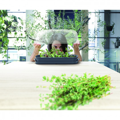 Sadbovač s polykarbonátovým víkem RESPANA TABLE GREENHOUSE bílý 39,1 cm