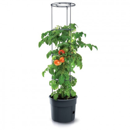 Květináč na pěstování rajčat TOMATO GROWER antracit 29,5cm