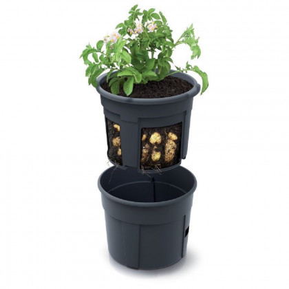 Květináč na pěstování brambor POTATO GROWER antracit 29,5cm