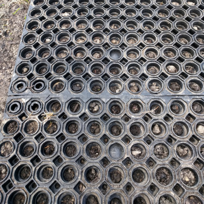 Gumová zatravňovací rohož FLOMA OctoGrass - 100 x 150 x 2,3 cm