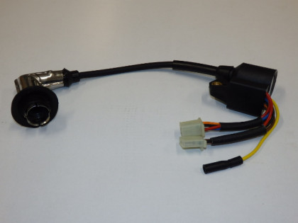 Ignitor