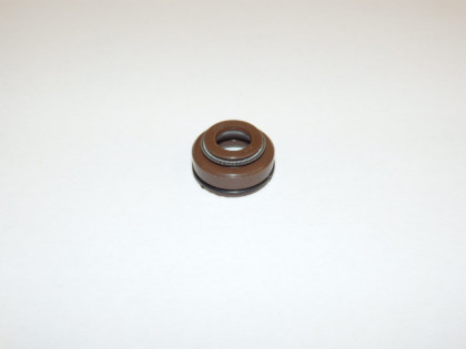 Guide seal
