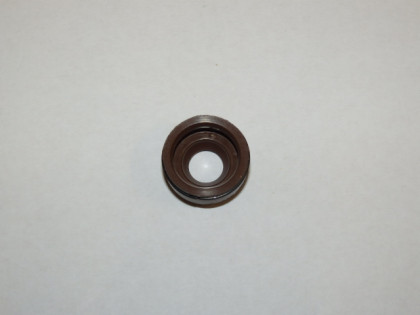 Guide seal