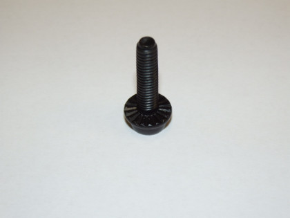 Screw