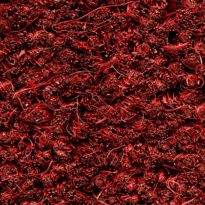 Červená kokosová čistící vstupní rohož FLOMA Rucco - 40 x 60 x 1,7 cm