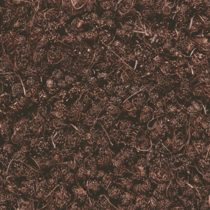 Hnědá kokosová čistící vstupní rohož FLOMA Rucco - 40 x 60 x 1,7 cm