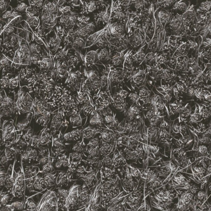 Šedá kokosová čistící vstupní rohož FLOMA Rucco - 50 x 80 x 1,7 cm