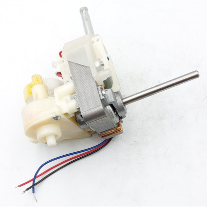 Motor