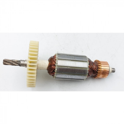Rotor motoru