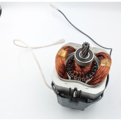 Motor