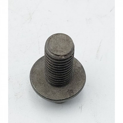 Tlakový šroub M10x25mm