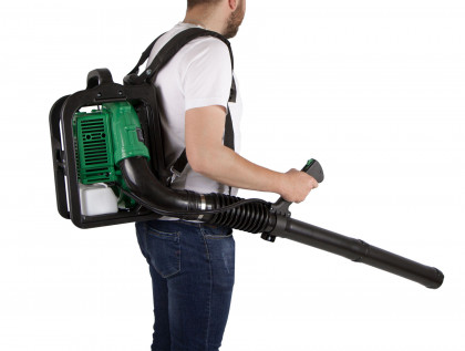 Fukar na listí, benzínový, 2500 W - HTG840704