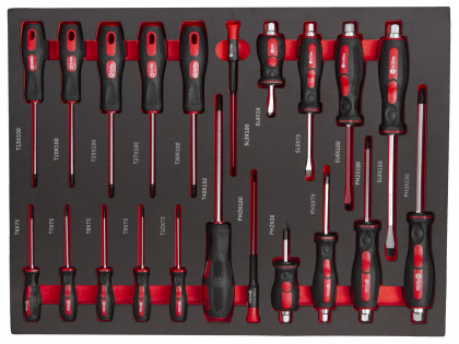 Sada šroubováků v pěnové výplni do dílenského vozíku, 21 ks - AH12399E4