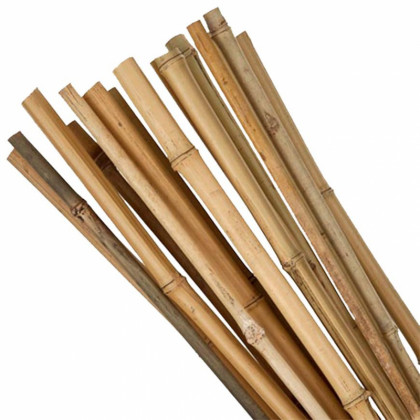 Bambusová tyč 120cm, průměr 10-12mm, 10ks