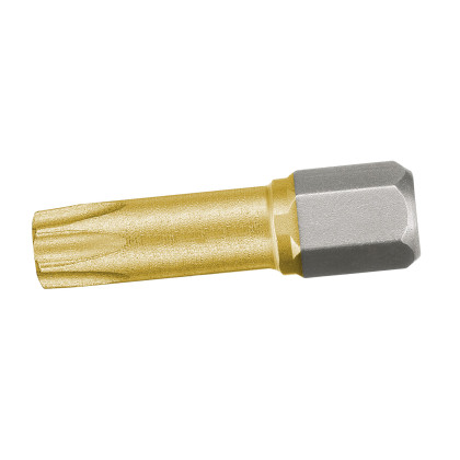 Bit TRX TITAN 1/4” | T30x25 mm (1bal/2ks)