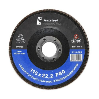 Kotouč lamelový brusný Ø 115 x 22,2 mm, P80, VSM Zirkon