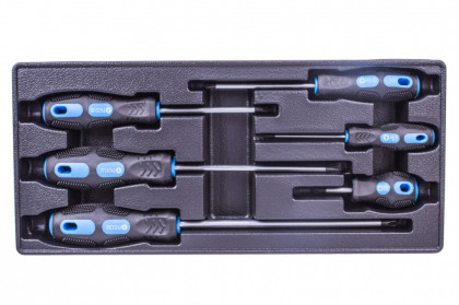 Sada křížových šroubováků ve výplni do dílenského vozíku, 6 dílů - VV006KS01