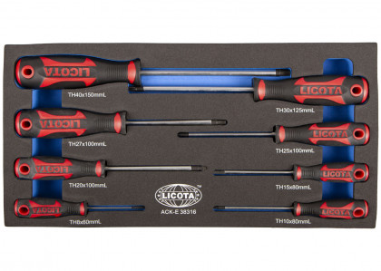 Sada šroubováků v pěnové výplni, Torx, 8 ks - LIACKE38316