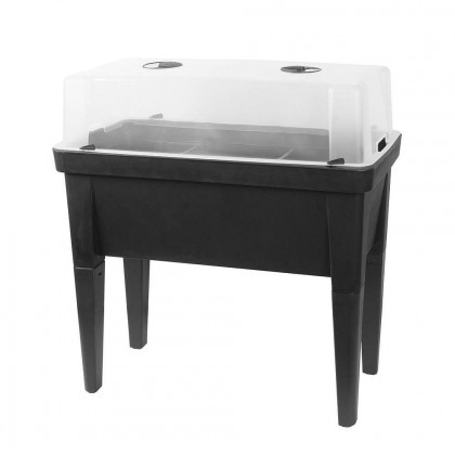 Sadbovač vysoký 78cm