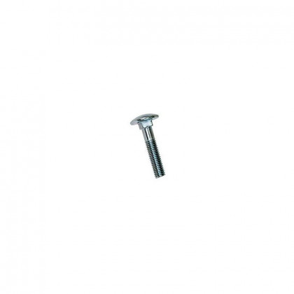 Šroub M5x40 DIN 603 (vratový) ZB