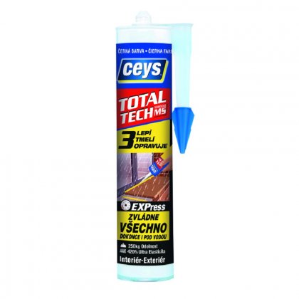 TOTAL TECH EXPRESS CEYS černý 290ml