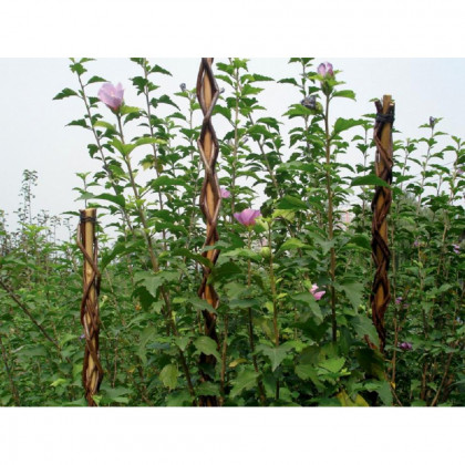 Tyč proutěná Garden Willow 190 cm