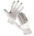 CERVA - BUSTARD rukavice bavlněný úplet s PVC t...