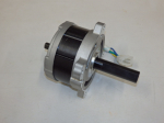 Motor 80V - 2021