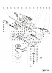 Arbor