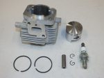 Kit cyl. + pist H23