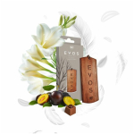 Osvěžovač K2 EVOS GRACE ANGEL - dřevěná vonná v...