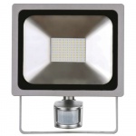 LED reflektor PROFI s pohybovým čidlem, 50W neu...
