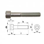 Šr.VH IMB 8.8 ZB M10x220