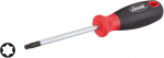 Šroubovák TORX, T6 - V4419