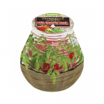 Svíčka bolsius Teracce Citronella, 94/91mm, rajče
