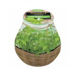 Svíčka bolsius Teracce Citronella, 94/91mm, baz...