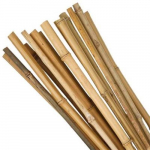 Tyč bamboo, průměr 1 - 1,5 cm, délka 150 cm