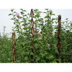 Tyč proutěná Garden Willow 130 cm